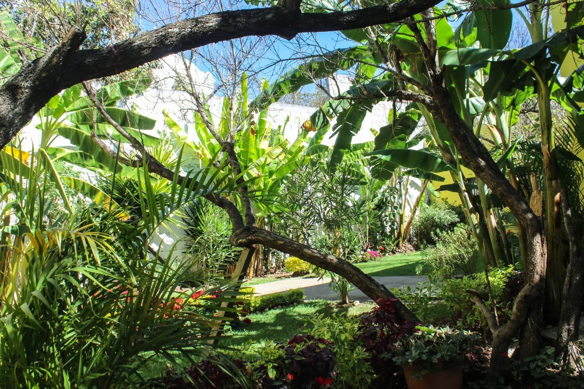 Jardines De Luz Hotel San Cristobal de las Casas Bagian luar foto