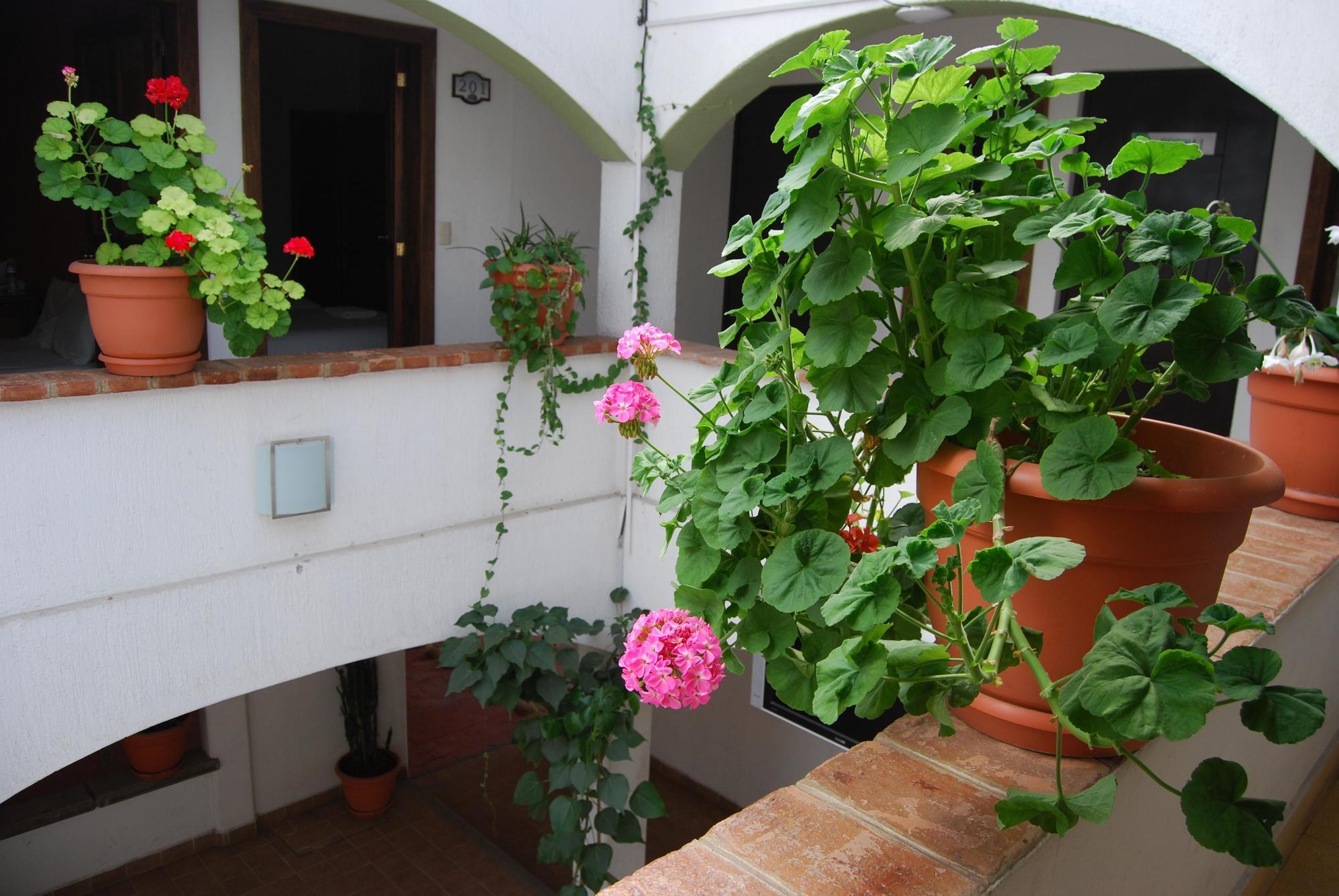 Jardines De Luz Hotel San Cristobal de las Casas Bagian luar foto